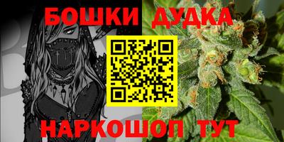 молекула духа Будённовск