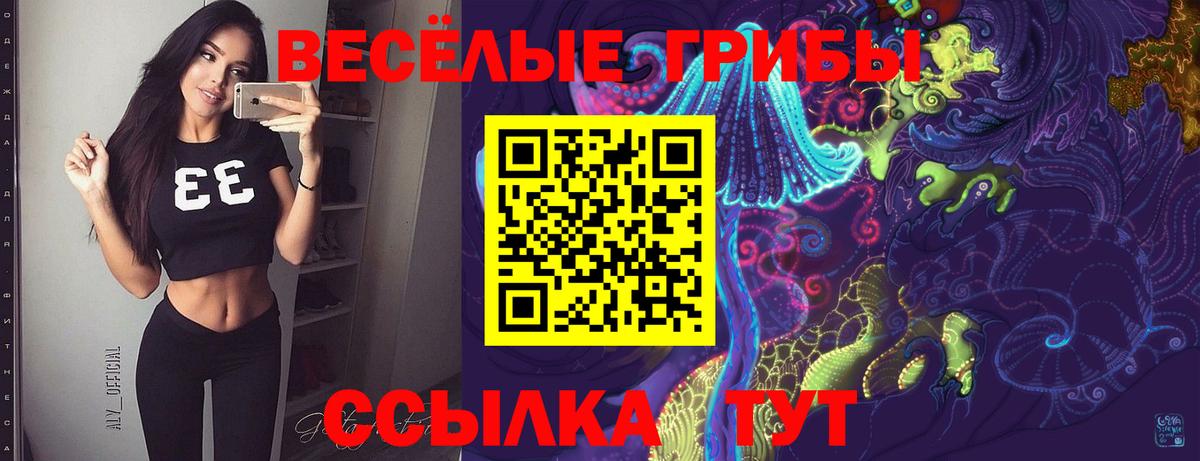 магазин продажи наркотиков  Вход с VPN  Сергиев Посад  Галлюциногенные грибы Psilocybe 